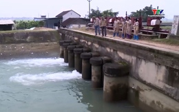 Chủ động nguồn nước tưới cho sản xuất nông nghiệp 