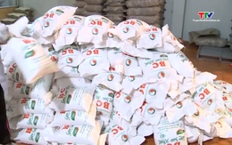 Xuất khẩu gạo sang Philippines tăng 30%