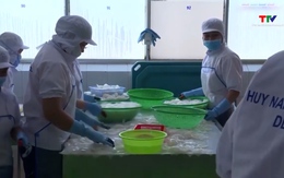 Xuất khẩu mực, bạch tuộc tăng trưởng mạnh