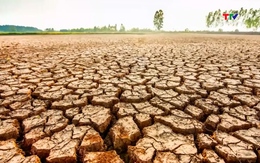 Cảnh báo nguy cơ thiếu nước diện rộng