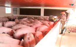 Ngăn chặn nguy cơ xâm nhập virus lở mồm long móng vào Việt Nam