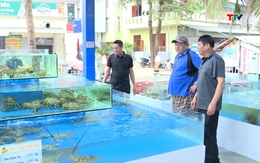 Bảo đảm an toàn du lịch dịp nghỉ lễ 30/4 và 1/5