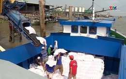 Xuất khẩu gạo Việt Nam chịu sức ép, phụ thuộc thị trường truyền thống