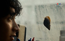 Phim Việt tranh giải tại Liên hoan phim Cannes 2026