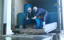 Xuất khẩu nông, lâm, thủy sản sang Mỹ gặp nhiều thách thức