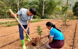 Người gieo nông sản sạch nơi bản người Thái Chung Sơn