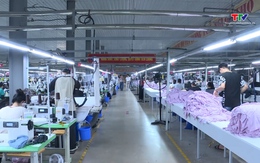 Thanh Hóa: Chỉ số sản xuất công nghiệp tăng trên 12%