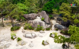 Nơi sóng chạm vào huyền thoại