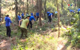 Tăng cường các biện pháp phòng cháy, chữa  cháy rừng