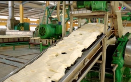 Xuất khẩu cao su tăng cả lượng và giá trị trong Quý I/2026