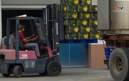 Xuất khẩu rau quả quý I/2026 tăng trưởng ấn tượng