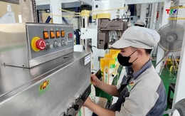 Xuất khẩu nông, lâm, thủy sản của cả nước trong 3 tháng năm 2026 tăng nhưng giá trị giảm