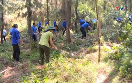 Dự báo cấp dự báo cháy rừng từ ngày 06/4 - 08/4/2026