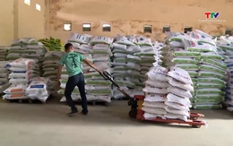 Giá thức ăn chăn nuôi dự báo sẽ tăng cao