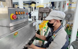 Xuất khẩu nông, lâm, thuỷ sản của cả nước trong 3 tháng năm 2026 tăng nhưng giá trị giảm