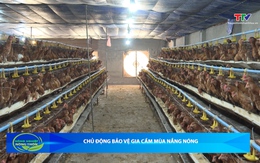 Bản tin Nông nghiệp và Nông thôn ngày 8/4/2026