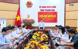 Phiên họp chuyên đề UBND tỉnh