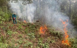 Dự báo cấp cháy rừng từ ngày 9/4 - 13/4/2026