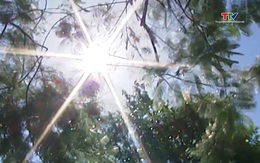 Khu vực từ Thanh Hóa đến thành phố Đà Nẵng được dự báo là tâm điểm của đợt nắng nóng