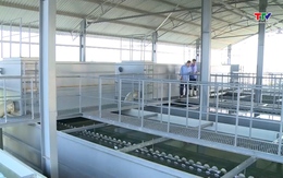 Ứng dụng công nghệ, chuyển đổi số trong cung ứng, kinh doanh sản xuất nước sạch