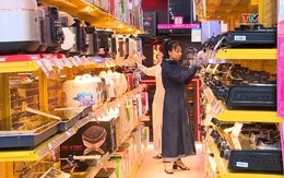 Gần 1.000 doanh nghiệp gia nhập thị trường mỗi ngày