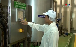 Giá cà phê tăng liên tiếp