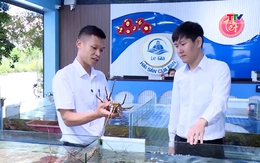 Du lịch vào mùa, thị trường hải sản sôi động