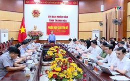 Phiên họp chuyên đề tháng 5 của UBND tỉnh