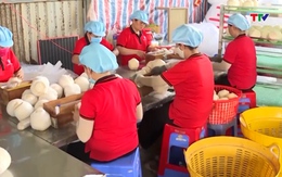 Trong 4 tháng đầu năm 2026, xuất khẩu rau quả cả nước tăng trưởng 22%