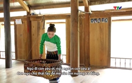 Lời ru dưới mái nhà sàn