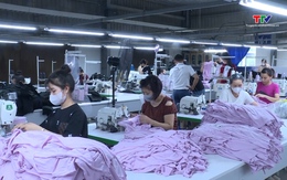 Thích ứng để giữ thị trường xuất khẩu