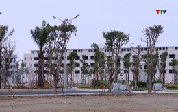 Lãi suất ngân hàng tăng buộc thị trường bất động sản trở về giá trị thật