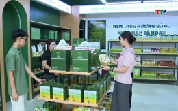 OCOP Thanh Hóa tăng tốc cùng thị trường mùa du lịch