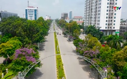 Những con đường nhuộm sắc tím Bằng lăng