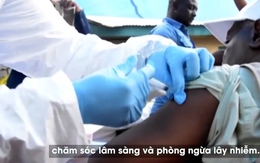 Chủ động phòng bệnh Ebola 