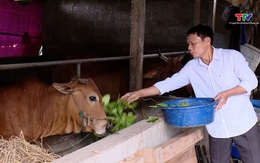 Mở lối hoàn lương