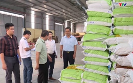 Đảm bảo nguồn giống phục vụ sản xuất vụ Thu Mùa