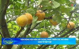 Bản tin Nông nghiệp - Nông thôn ngày 20/5/2026