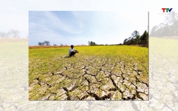 El Nino mạnh hơn dự báo, đề phòng các hình thái thiên tai nguy hiểm