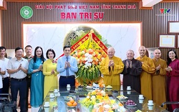 Chủ tịch UBND tỉnh chúc mừng Đại lễ Phật đản