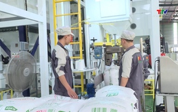 Thúc đẩy xuất khẩu gạo theo hướng bền vững 