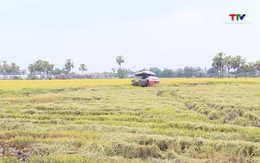 14.000 đến 15.000 ha có nguy cơ thiếu nước, hạn hán, xâm nhập mặn 