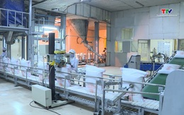 Nhiều áp lực lên ngành mía đường Việt Nam