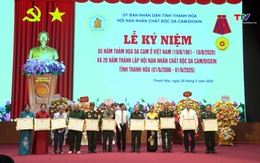 Kỷ niệm 20 năm thành lập Hội Nạn nhân chất độc da cam/dioxin