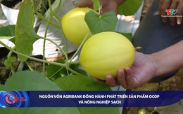 Bản tin Tài chính - Thị trường ngày 29/5/2026