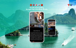 Thêm tính năng phản ánh du lịch trên ứng dụng Vietnam Travel