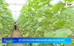 Bản tin Nông nghiệp – Nông thôn 30/05/2026