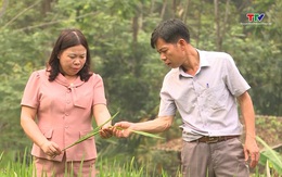 Gương sáng nơi bản làng