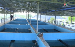 Bảo đảm nguồn cấp nước sạch trong mùa hè