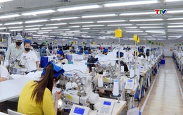 Các doanh nghiệp FDI duy trì tốt việc làm cho người lao động